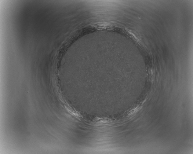 X0000076070913200609221152