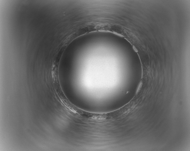 X0000076070914200609221152