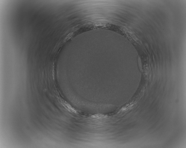 X0000076070916200609221152