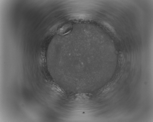 X0000076070918200609221152