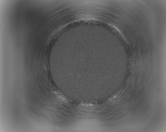 X0000076070919200609221152