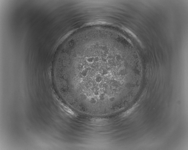 X0000076070921200609221152