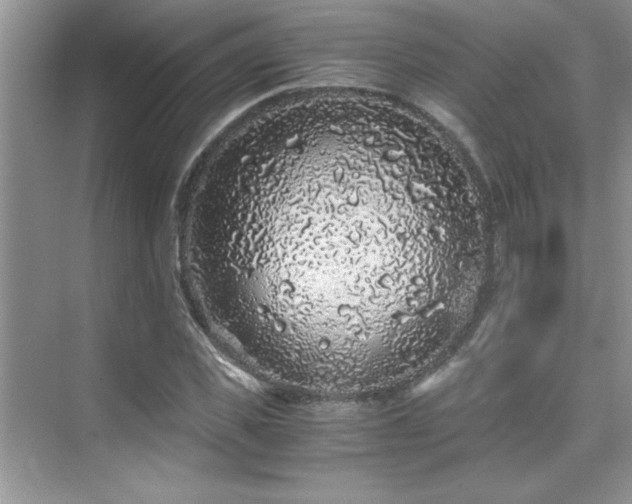 X0000076070925200609221152