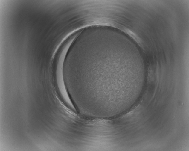 X0000076070926200609221152