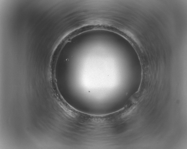 X0000076070927200609221152