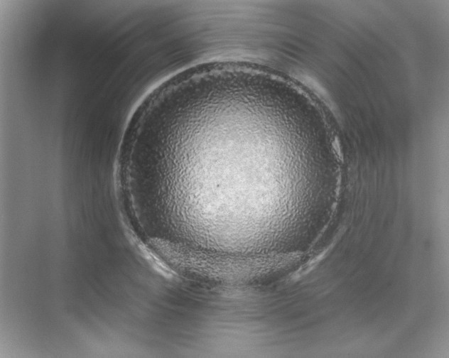 X0000076070928200609221152