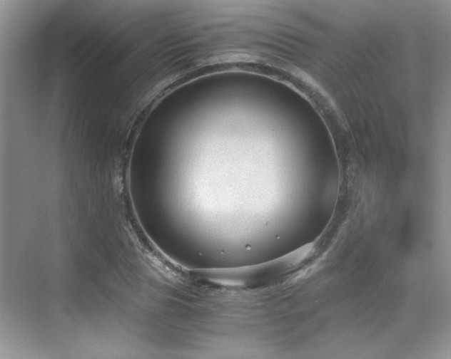 X0000076070929200609221152