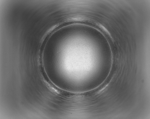 X0000076070930200609221152