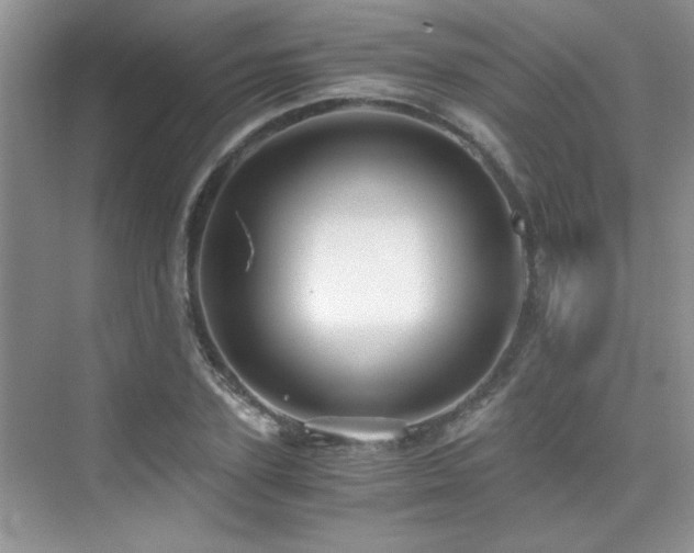 X0000076070931200609221152