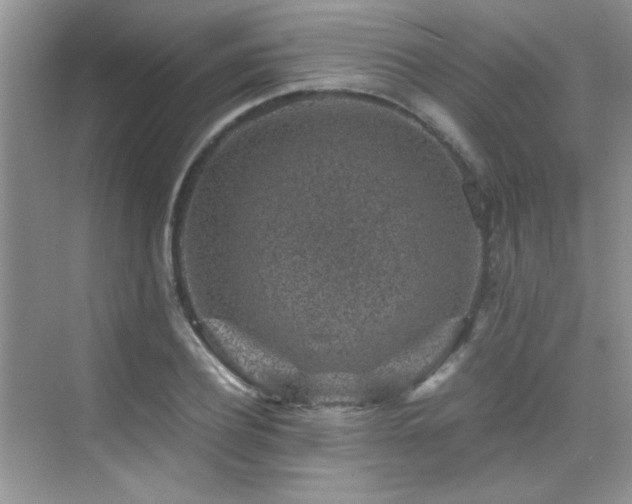 X0000076070932200609221152