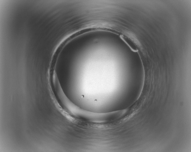 X0000076070936200609221153