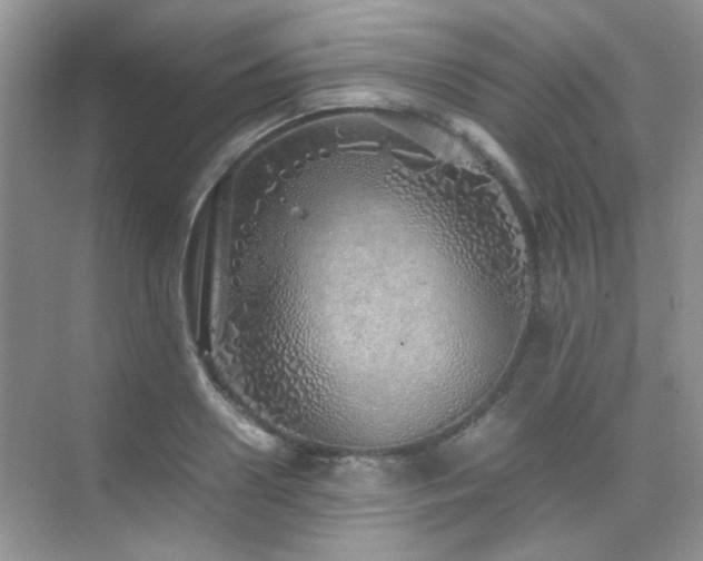 X0000076070938200609221153