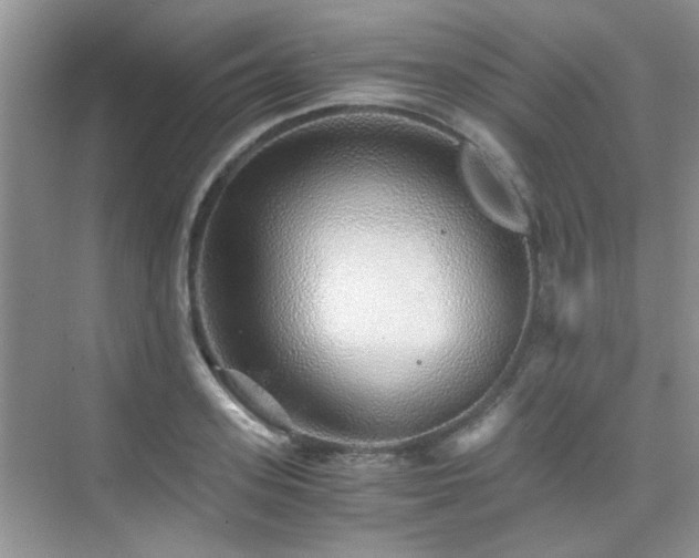 X0000076070939200609221153