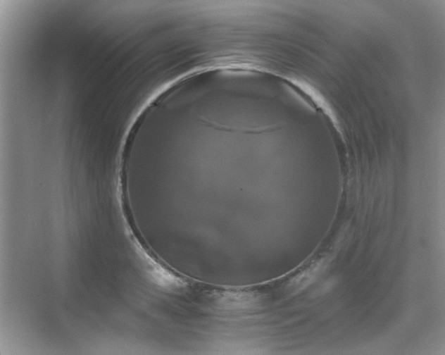 X0000076070941200609221153