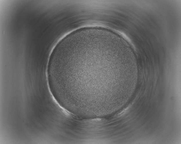 X0000076070943200609221153