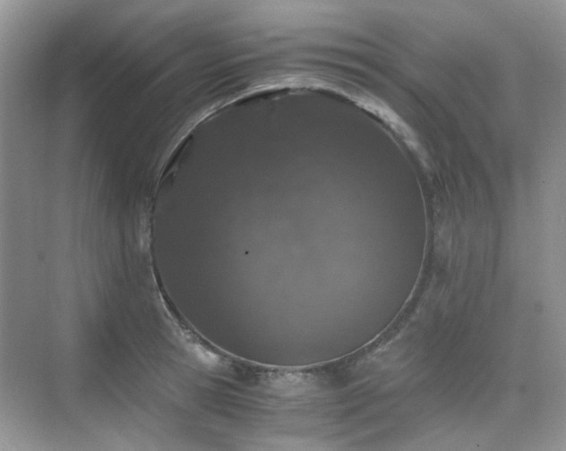 X0000076070945200609221153