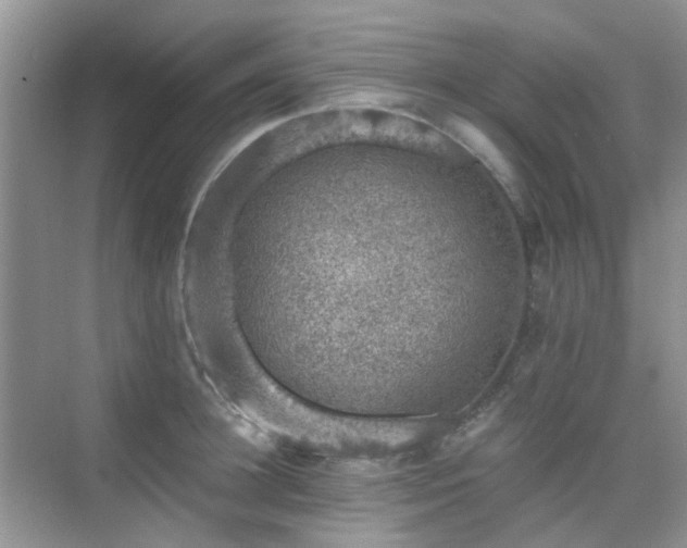 X0000076070948200609221153