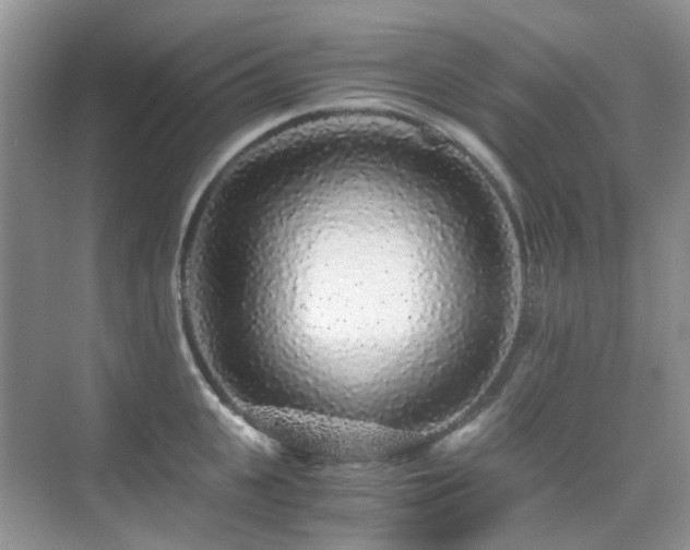 X0000076070951200609221153