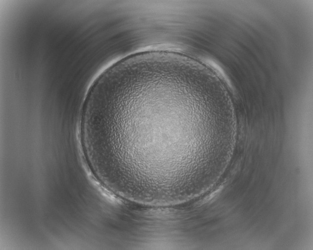 X0000076070952200609221153