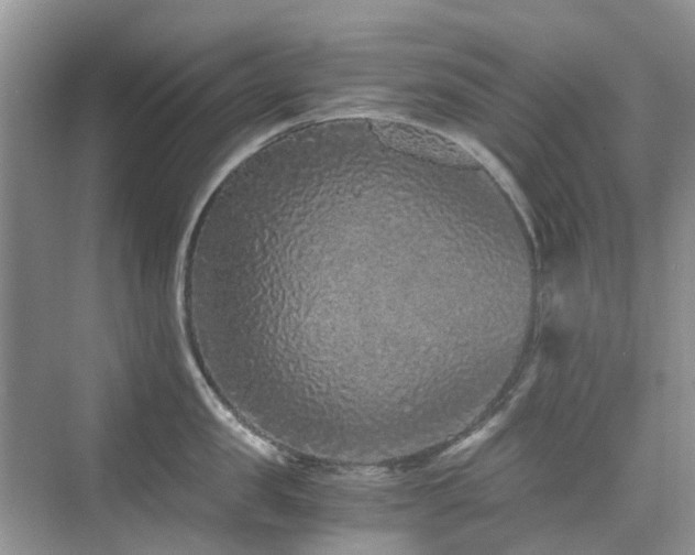 X0000076070957200609221153