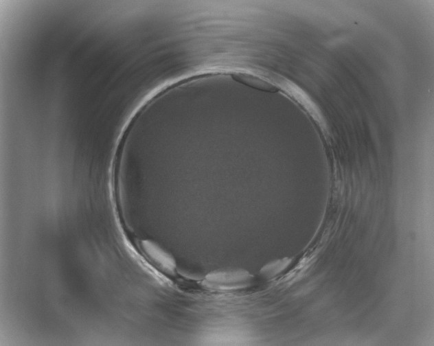 X0000076070958200609221153