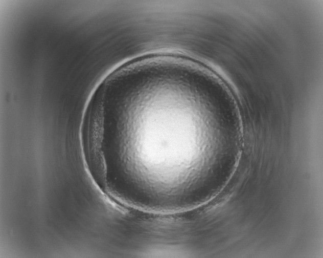 X0000076070959200609221153