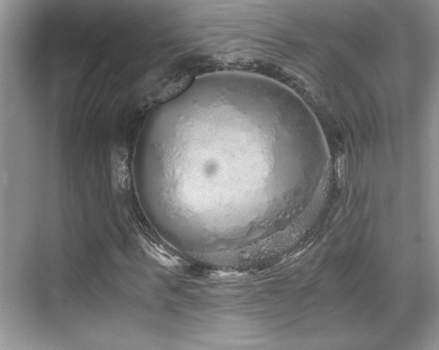 X0000076070963200609221152