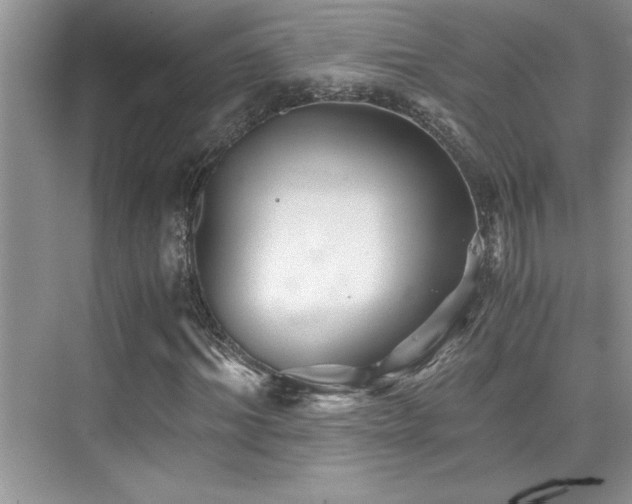 X0000076070964200609221152