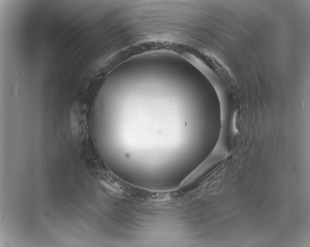 X0000076070968200609221152