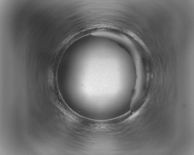 X0000076070969200609221152