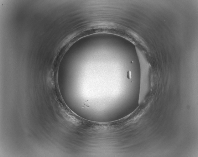 X0000076070970200609221152