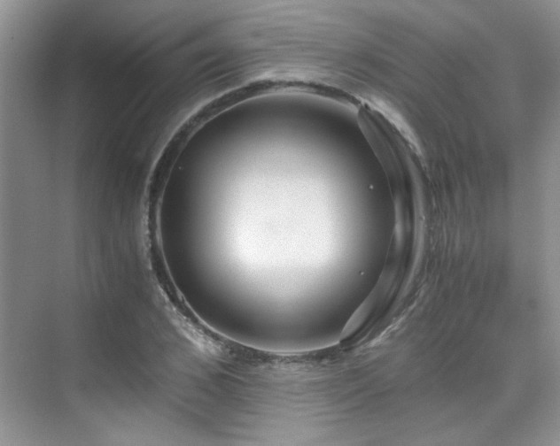 X0000076070976200609221152