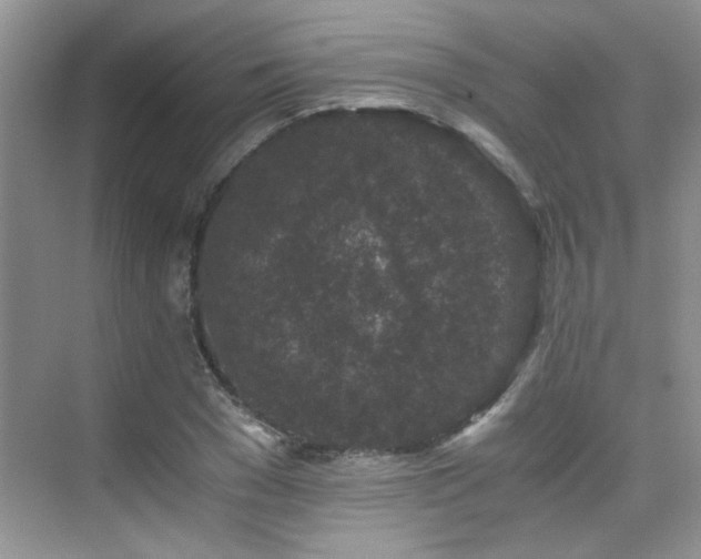 X0000076070977200609221152