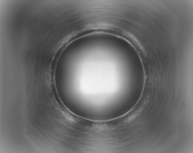 X0000076070978200609221152