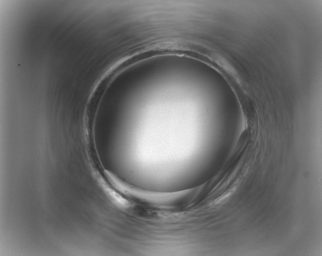 X0000076070981200609221152