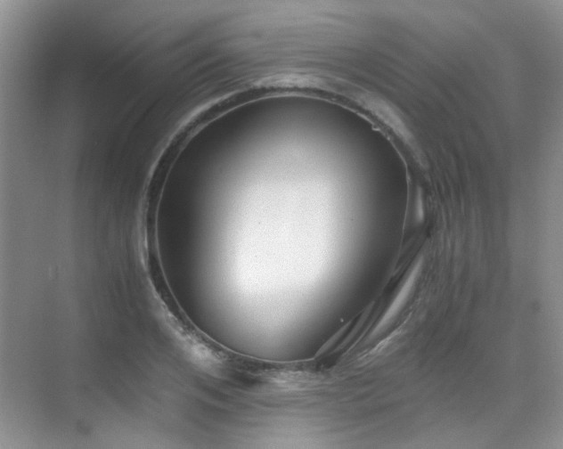 X0000076070984200609221152