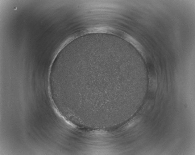 X0000076070994200609221152