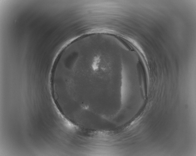 X0000076070995200609221152