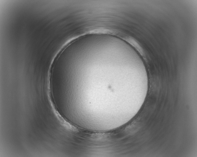 X0000076071000200609221151