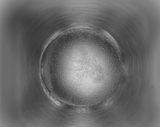 X0000076071002200609221151