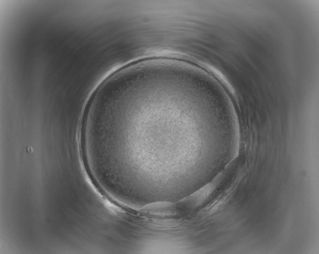 X0000076071007200609221151