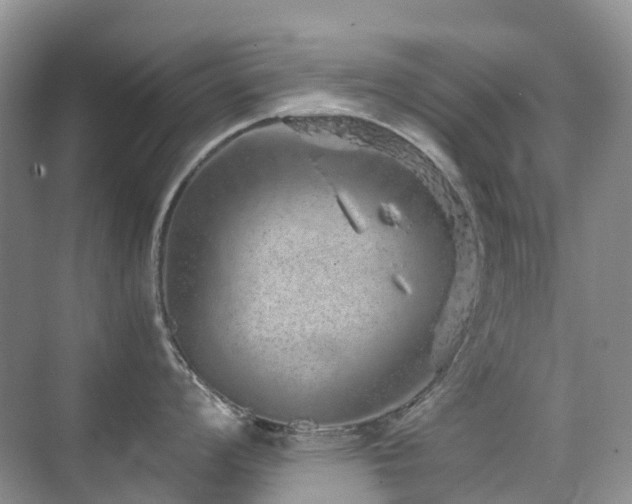 X0000076071008200609221151