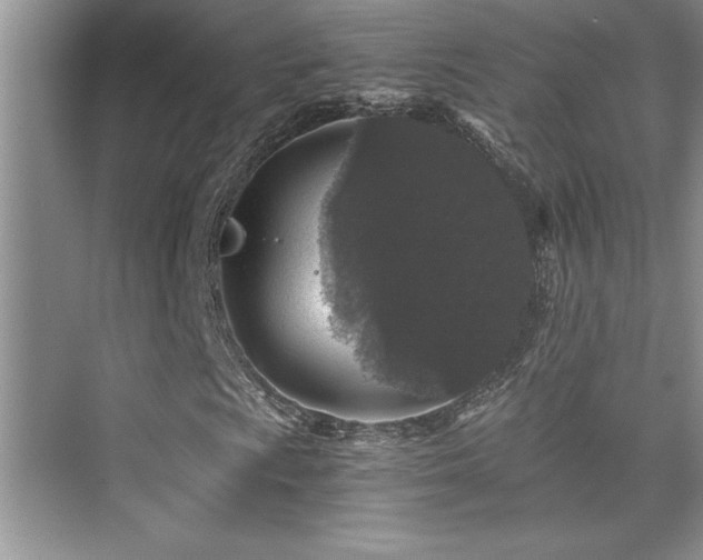 X0000076071009200609221151