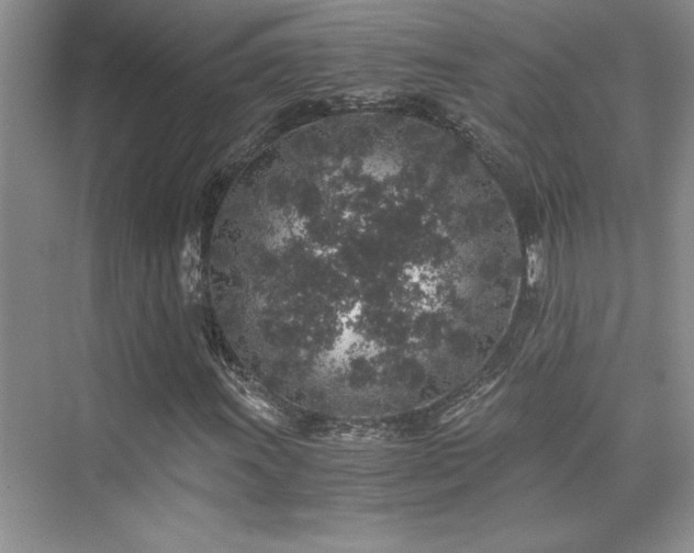 X0000076071011200609221151