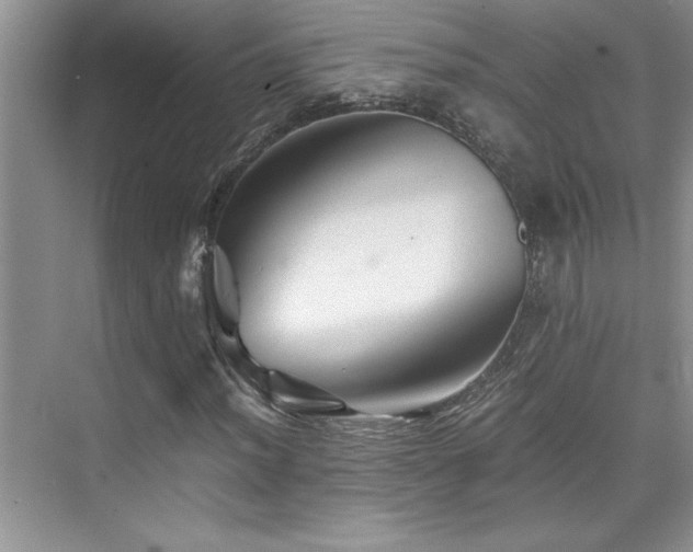 X0000076071012200609221151