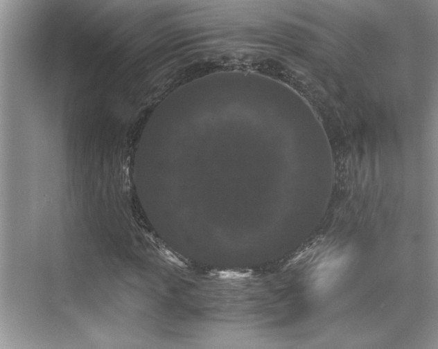 X0000076071013200609221151