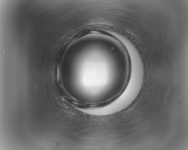 X0000076071014200609221151