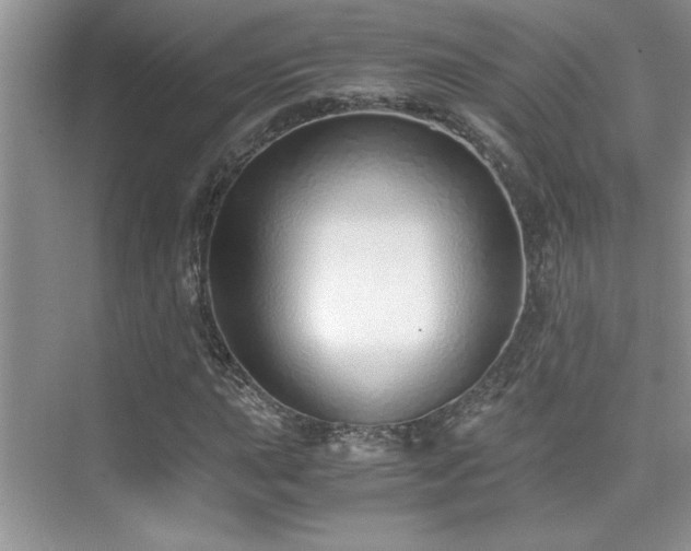 X0000076071015200609221151