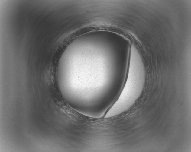 X0000076071016200609221151