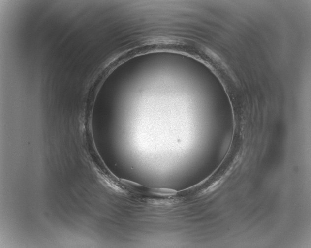 X0000076071017200609221151